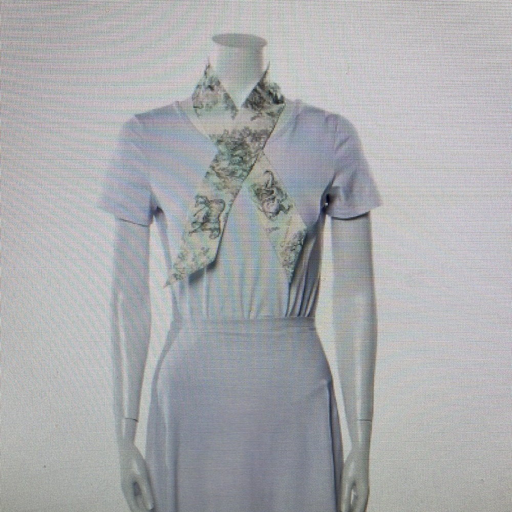 🌟trade🌟DIOR Toile De Jouy Mitzah Twilly - Picture 9 of 9
